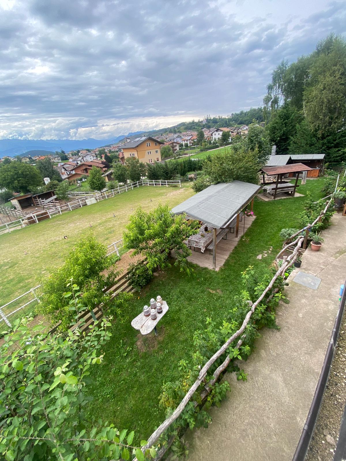 La struttura
